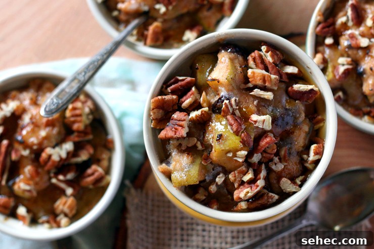 Spiced Apple Oatmeal Brulee Recipe 7 Apple Oatmeal Brulee Above