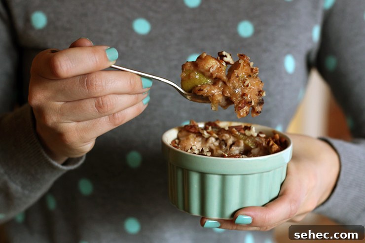Spoonful of Apple Oatmeal Brûlée Spoonful of Apple Oatmeal Brûlée