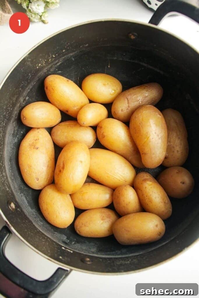 Crispy Smashed Potato Salad with Tzatziki Sauce 5 Cooked baby potatoes in a large pot.