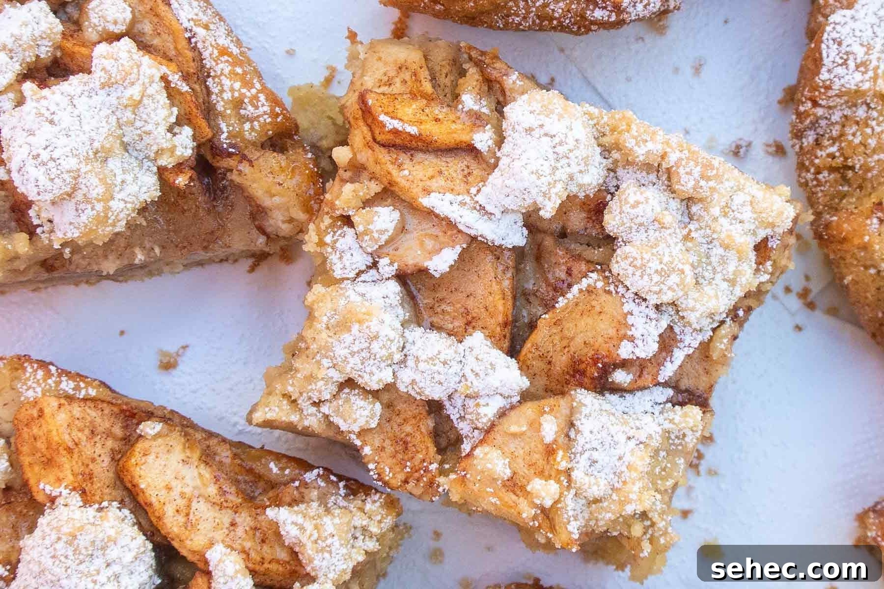 overview of sliced German apple cake