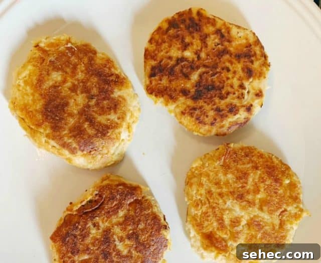 Low Carb Old Bay Tuna Cakes Recipe 2 old bay keto tuna cakes