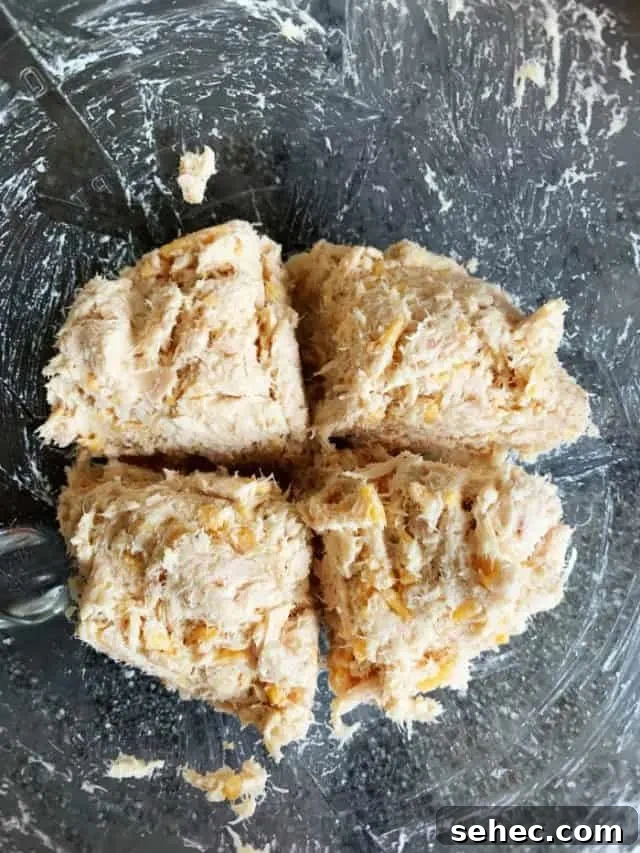 Low Carb Old Bay Tuna Cakes Recipe 6 divide tuna cake ingredients