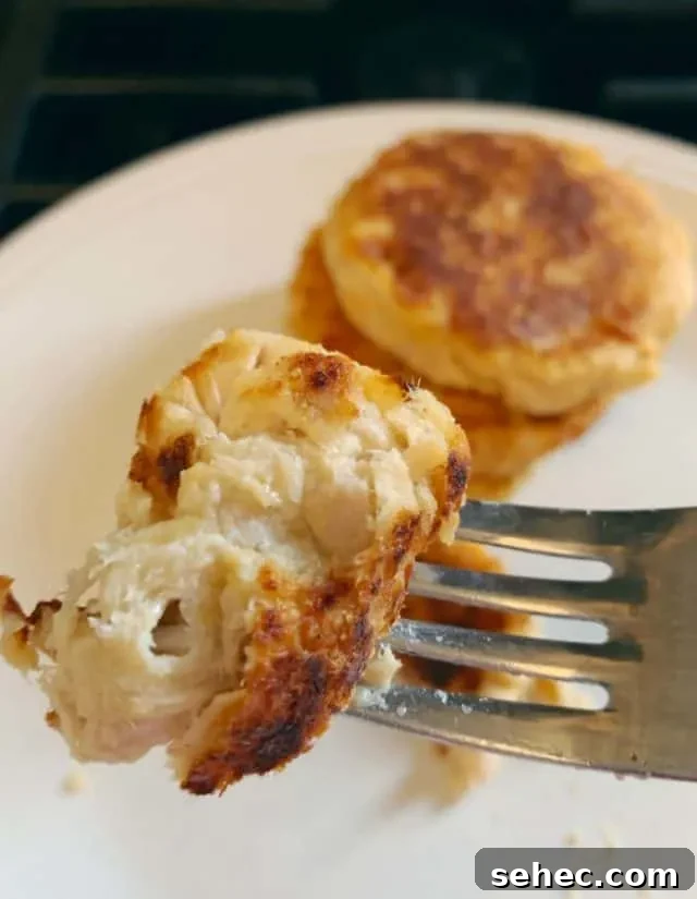 Low Carb Old Bay Tuna Cakes Recipe 10 bite of keto tuna cake