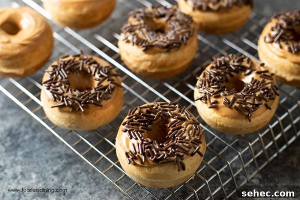 Gluten-Free Peanut Butter Donuts Recipe 12 peanut butter donuts with sprinkles on a rack