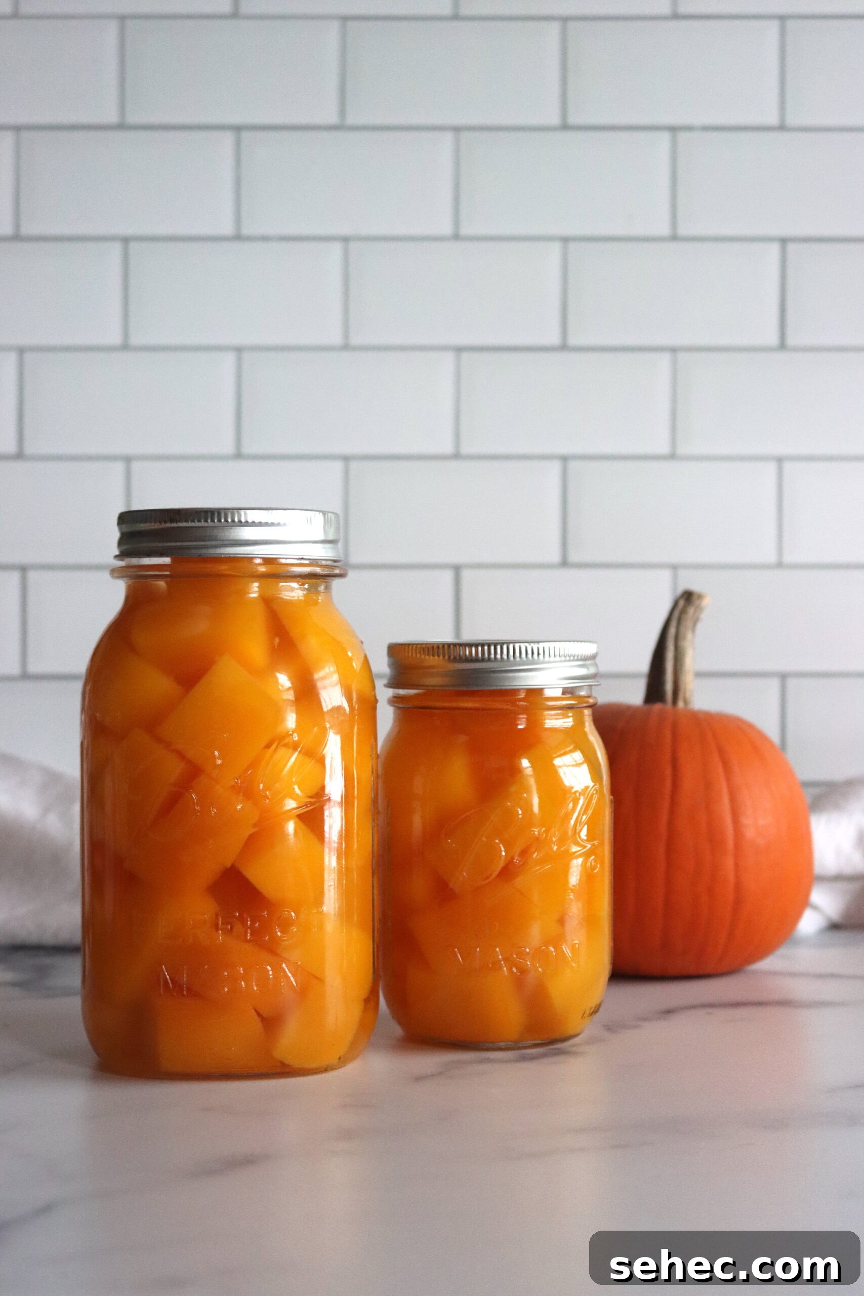 How to Can Pumpkin and Winter Squash Safely 3 Canning pumpkin