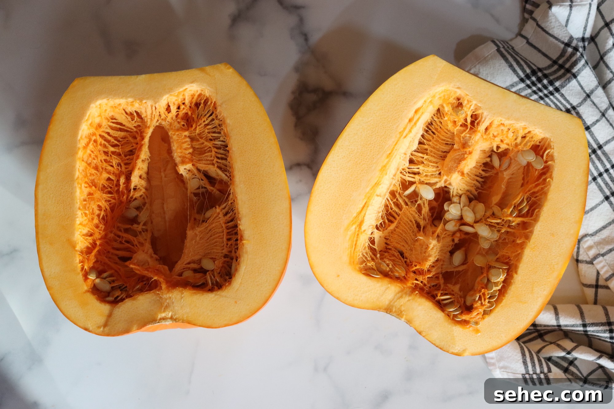 How to Can Pumpkin and Winter Squash Safely 4 Seeding Pumpkin