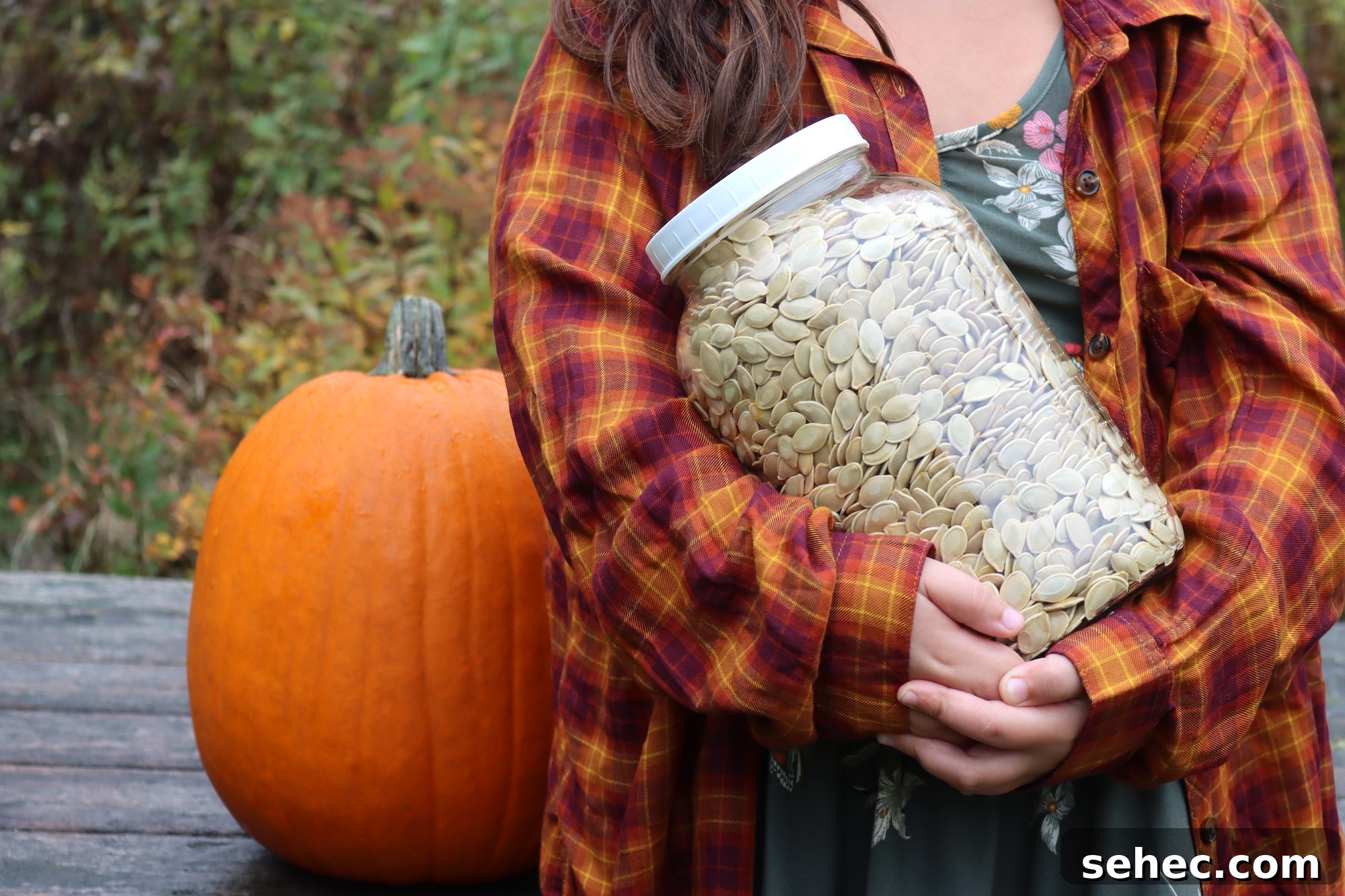 How to Can Pumpkin and Winter Squash Safely 6 Raw Pumpkin Seeds