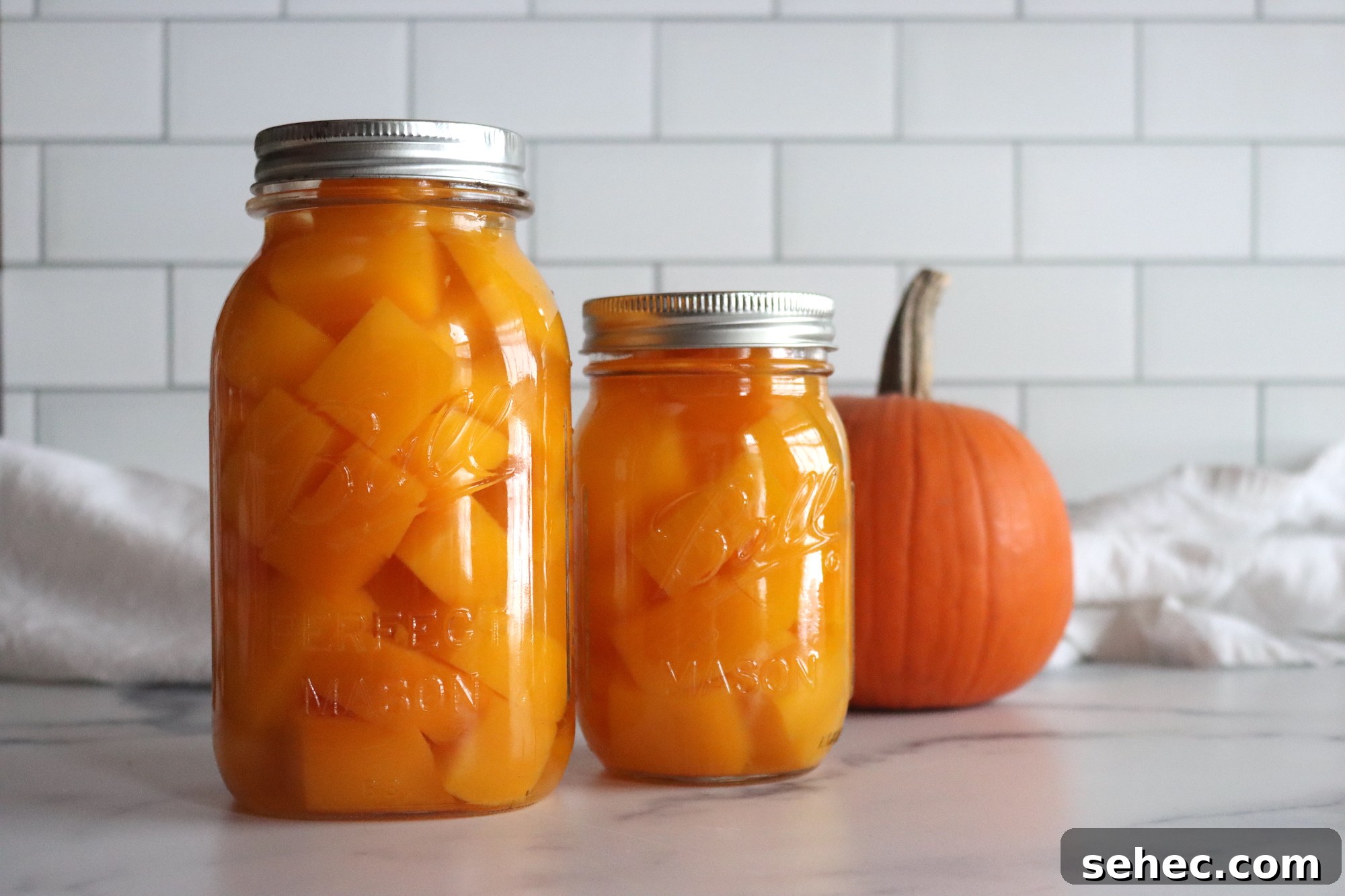 How to Can Pumpkin and Winter Squash Safely 7 Canning pumpkin