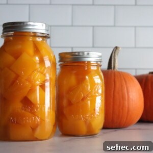 How to Can Pumpkin and Winter Squash Safely 8 Canning pumpkin
