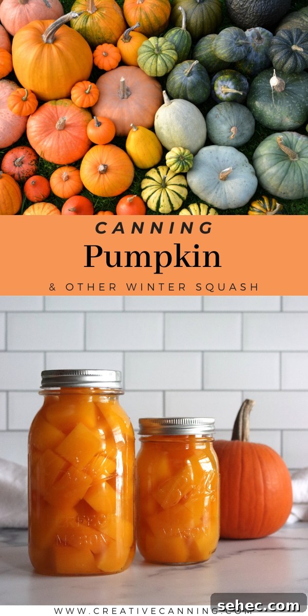 How to Can Pumpkin and Winter Squash Safely 9 Instructions for Canning Pumpkin