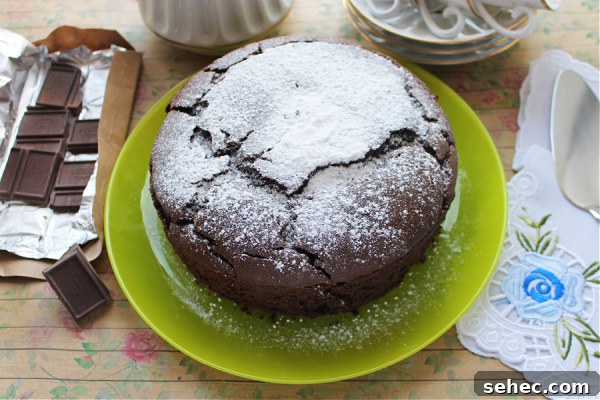 Rustic Single Layer Chocolate Cake Recipe 11 Rustic chocolate cake dusted with powdered sugar