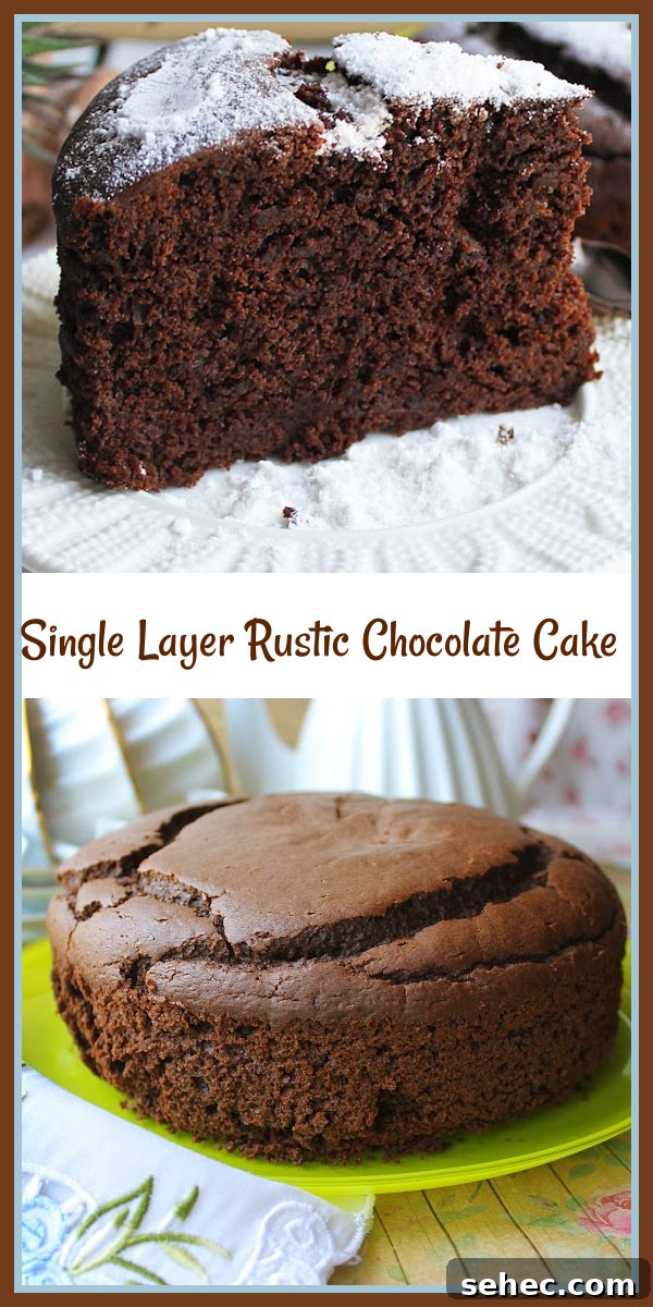 Rustic Single Layer Chocolate Cake Recipe 12 Tall image of single layer rustic chocolate cake