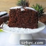 Rustic Single Layer Chocolate Cake Recipe 13 Single layer rustic chocolate cake recipe