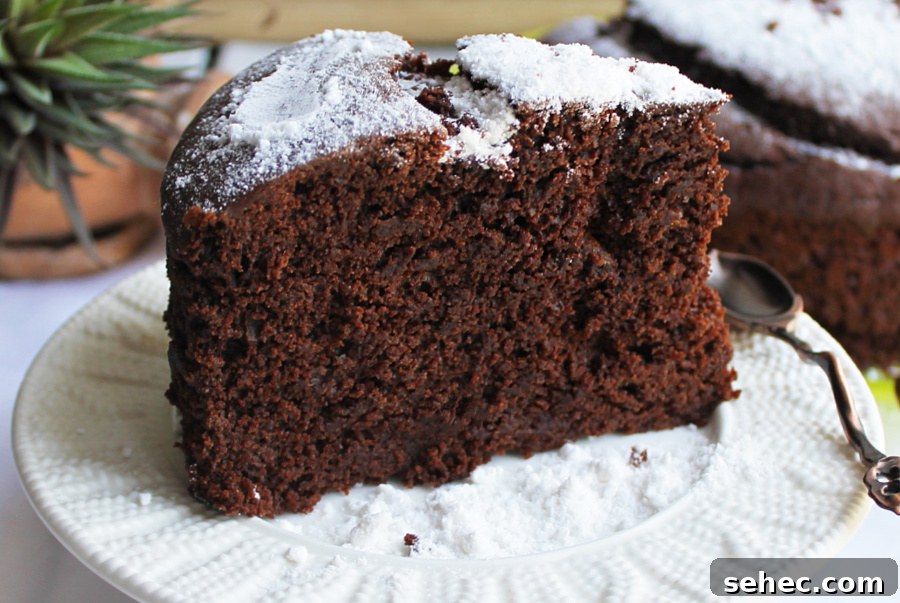 Rustic Single Layer Chocolate Cake Recipe 17 Single layer rustic chocolate cake pin image