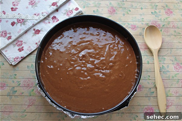 Rustic Single Layer Chocolate Cake Recipe 9 Finished single layer chocolate cake