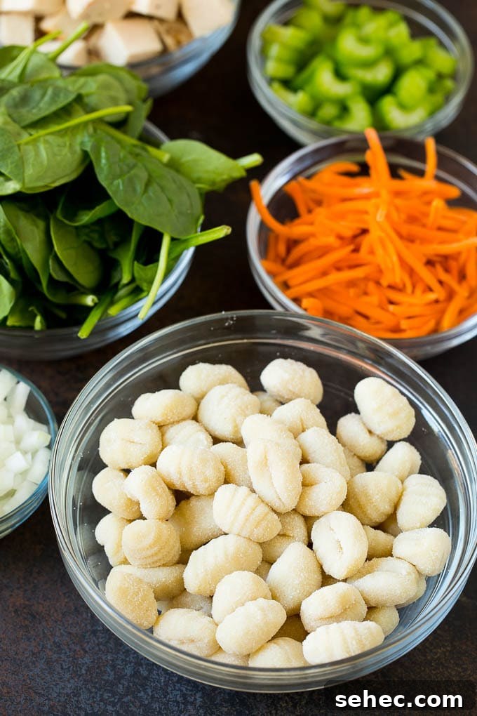 Chicken, gnocchi and vegetables for soup Bowls of gnocchi, chicken and vegetables.