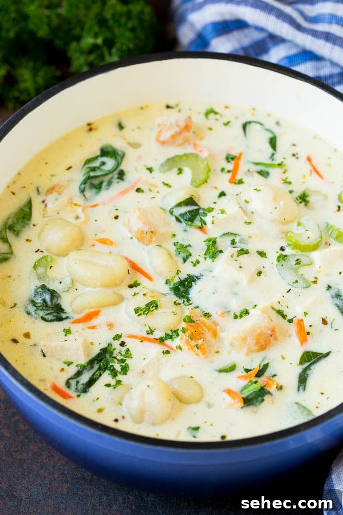 Creamy chicken gnocchi soup in a pot A pot of chicken gnocchi soup with spinach and carrots.
