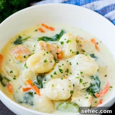 Chicken gnocchi soup recipe A bowl of creamy gnocchi soup topped with chopped parsley.