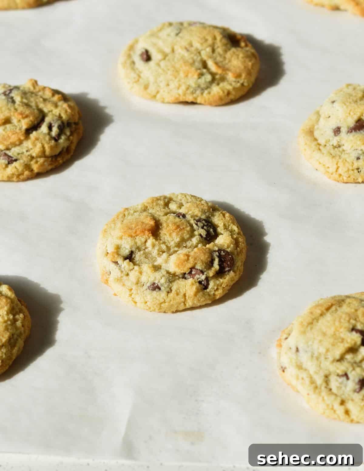 Chewy Almond Flour Chocolate Chip Cookies 13 baked chocolate chip cookies on a sheet pan.