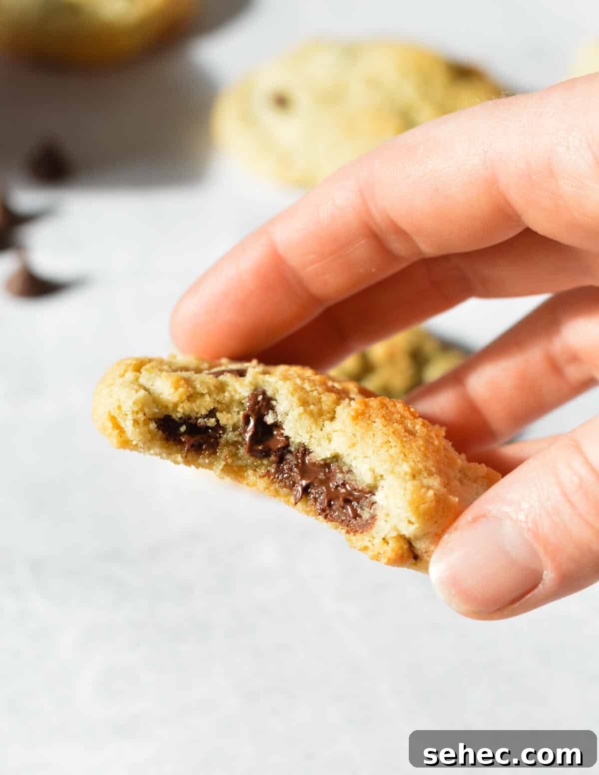 Chewy Almond Flour Chocolate Chip Cookies 16 hand holding a cookie with melted chocolate in the center.