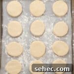 Boston Cream Pie Donuts with Chocolate Glaze 10 donut dough circles on a floured baking sheet.