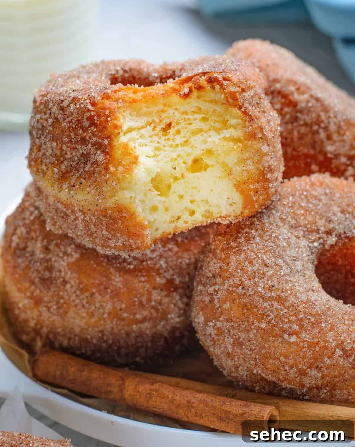 Boston Cream Pie Donuts with Chocolate Glaze 39 Homemade Cinnamon Sugar Donuts