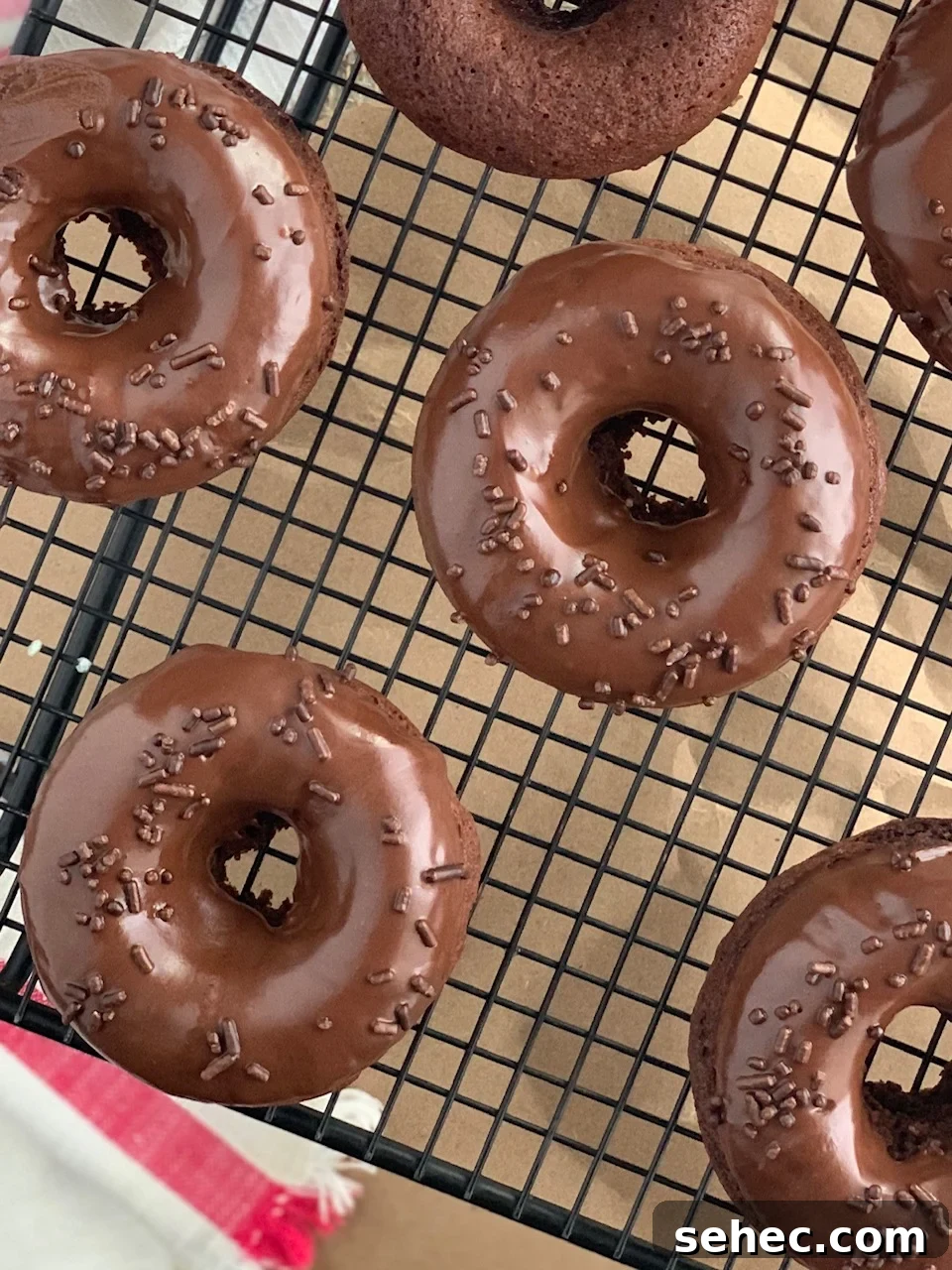Double Chocolate Donuts with Rich Chocolate Glaze 8 Double Chocolate Donuts