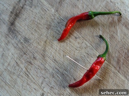 Piercing Chillis Piercing chilli peppers for Chilli Hot Chocolate