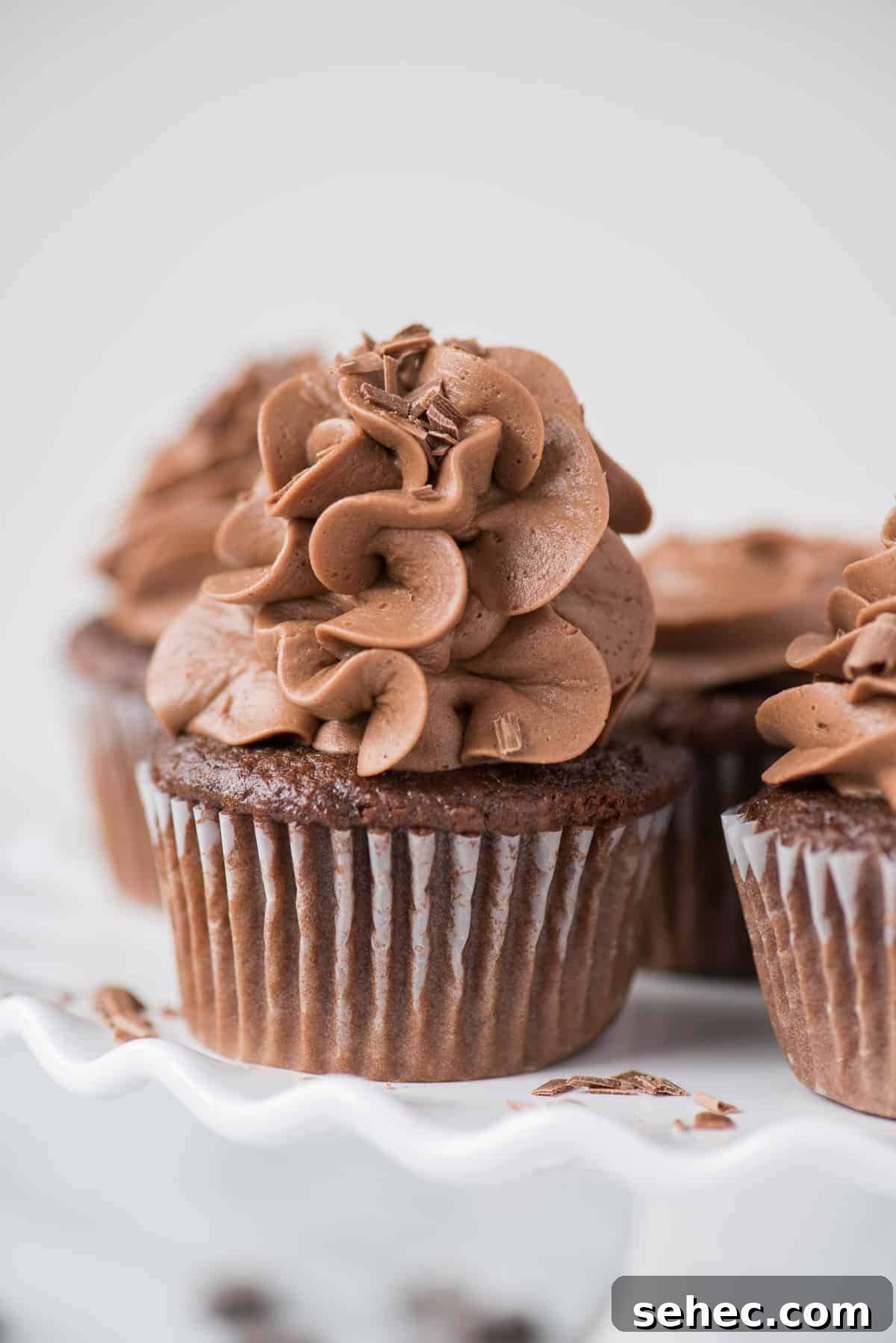 Chocolate Frosting Recipe for Cakes and Cupcakes 2 chocolate cupcakes with fluffy chocolate frosting on top on white background