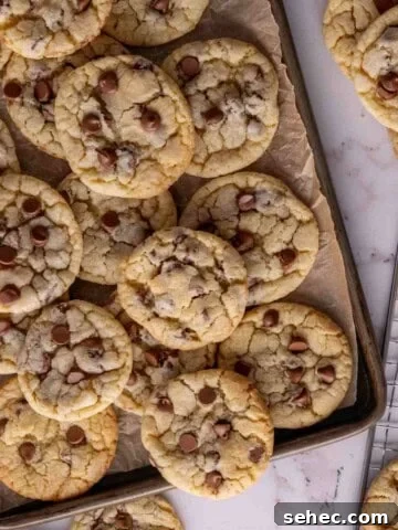 Sour cream chocolate chip cookies featured image.