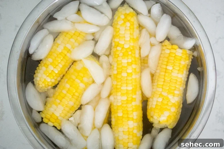 How to Freeze Corn on the Cob Blanched or Unblanched 2 Three ways to freeze corn