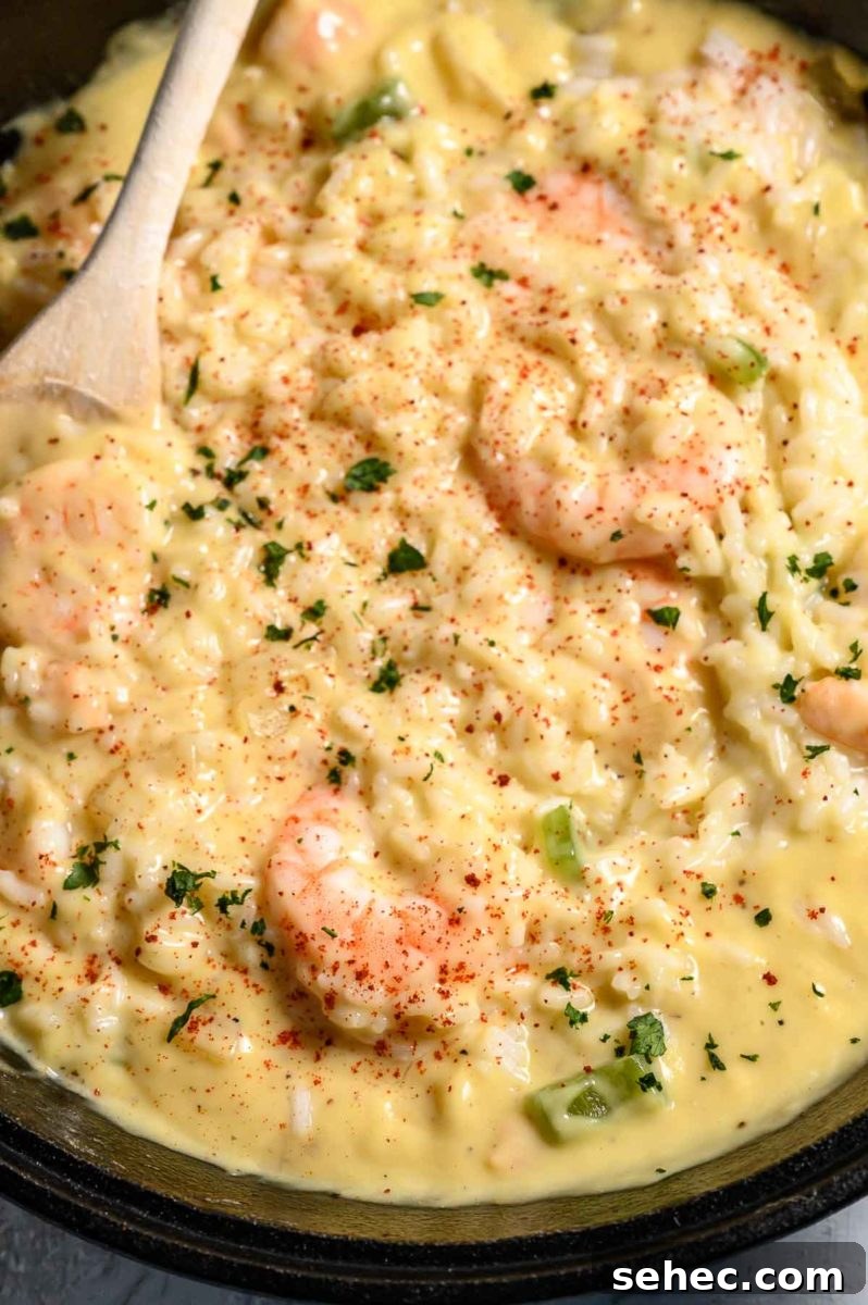 Creamy Shrimp and Rice Skillet 2 Creamy Shrimp and Rice in a cast iron skillet.