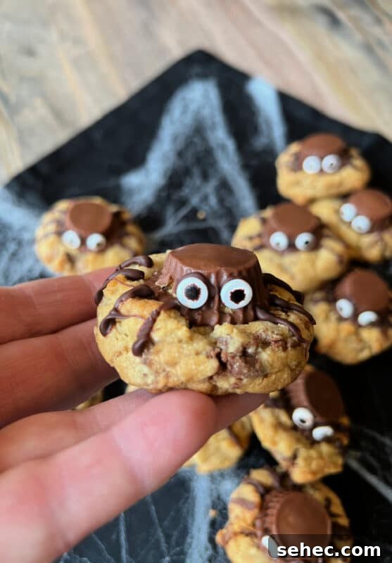 Halloween Spider Cookies Recipe for Spooky Parties 11 img 31579 10