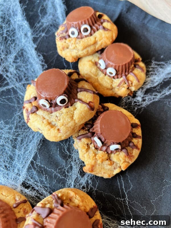 Halloween Spider Cookies Recipe for Spooky Parties 3 img 31579 2