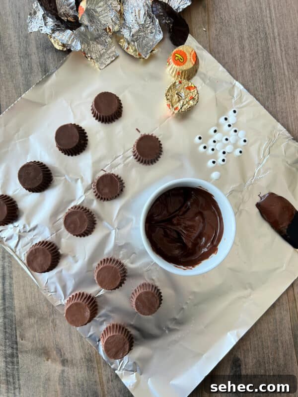 Halloween Spider Cookies Recipe for Spooky Parties 6 img 31579 5