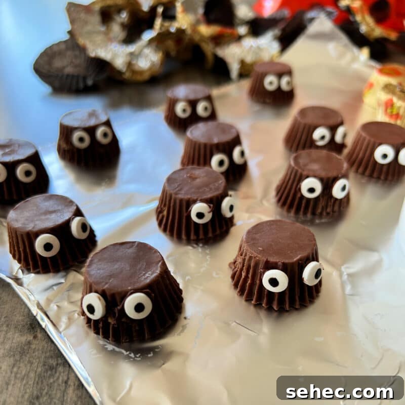 Halloween Spider Cookies Recipe for Spooky Parties 7 img 31579 6