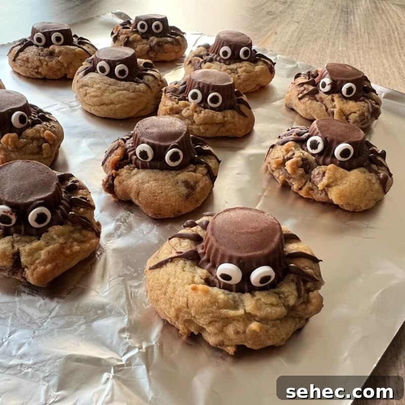 Halloween Spider Cookies Recipe for Spooky Parties 10 img 31579 9