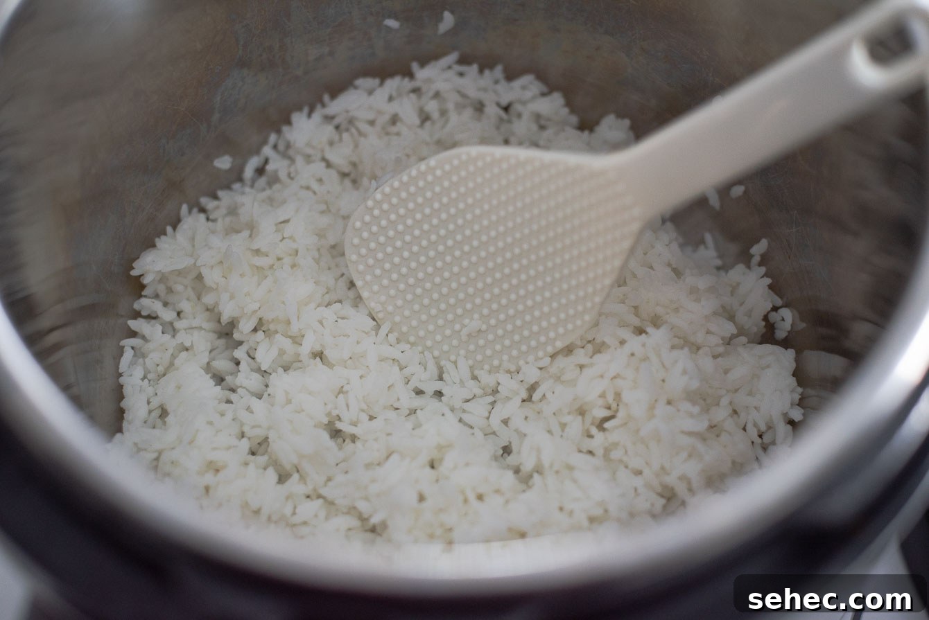 Homemade Sikhye Korean Sweet Rice Drink Recipe 11 Short-grain rice placed in Instant Pot to prepare Korean rice drink
