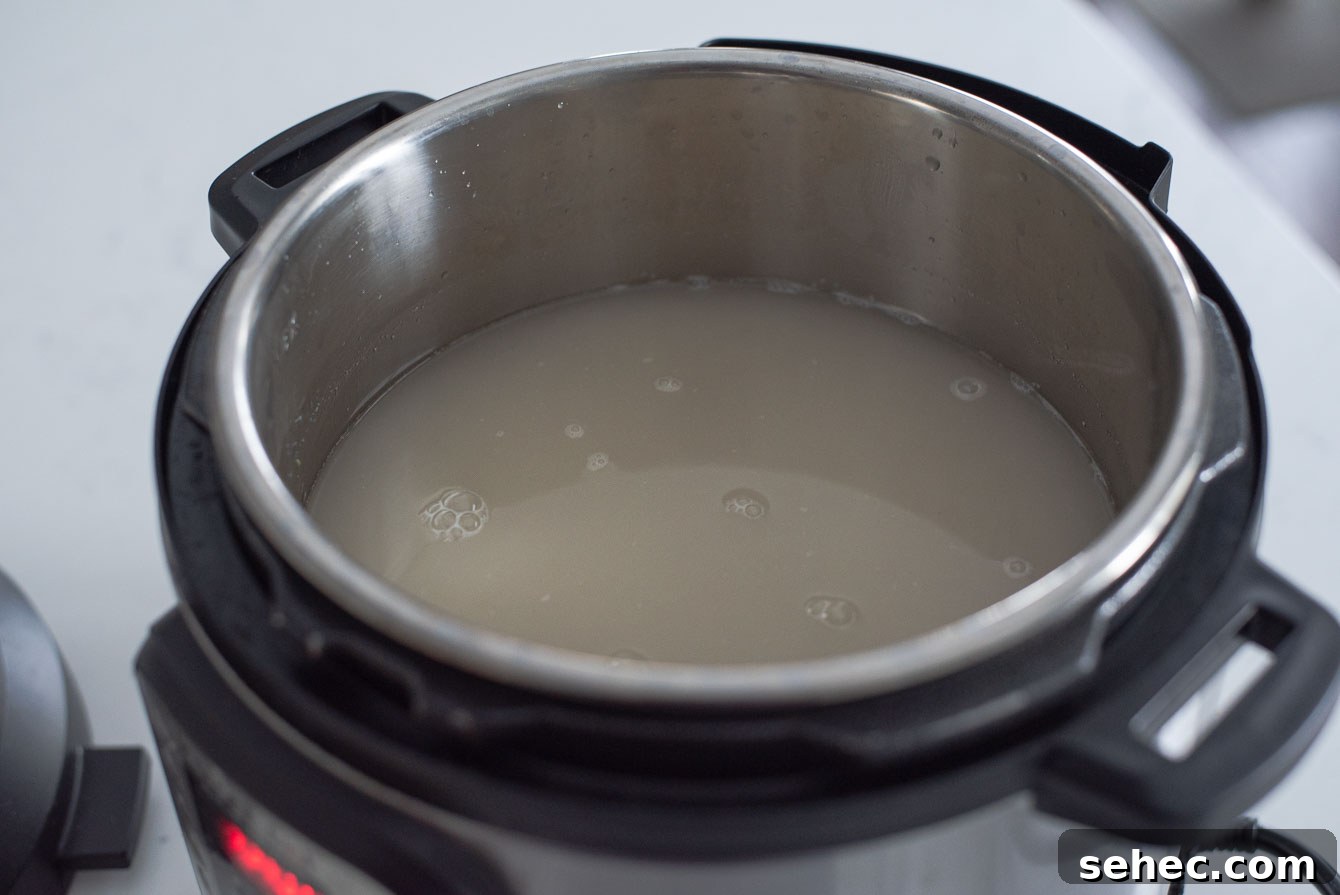 Homemade Sikhye Korean Sweet Rice Drink Recipe 12 Barley malt water poured over rice in Instant Pot