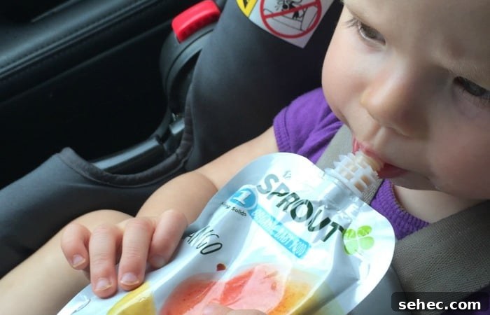 What Kids Are Really Eating in On the Go Snacks 3 what-is-in-those-pouches-for-kid-fea