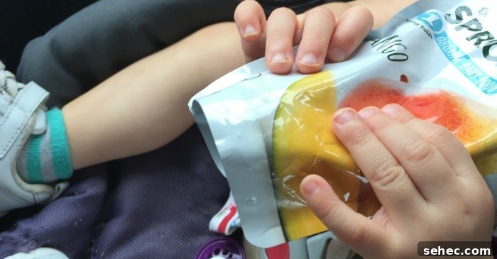 What Kids Are Really Eating in On the Go Snacks 4 what-am-i-feeding-my-kids-when-i-hand-them-a-pouch-fb