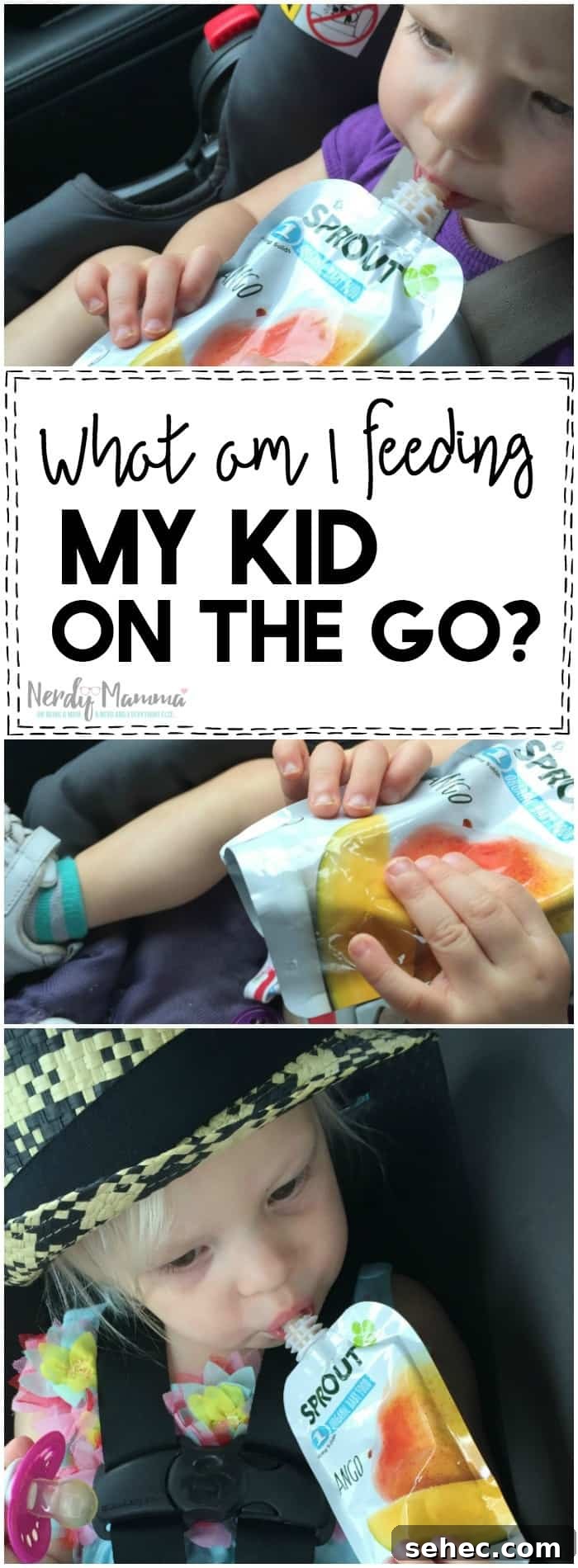 What Kids Are Really Eating in On the Go Snacks 8 I love this mom's thoughts on what am I really feeding my kid on the go. She's so right! I had no idea.