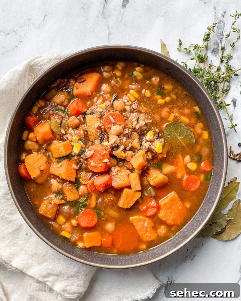 Hearty Wild Rice Soup with Fall Vegetables and Chickpeas 2 Overhead view of hearty wild rice stew with autumn vegetables and chickpeas