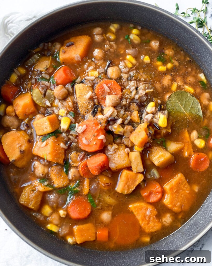 Hearty Wild Rice Soup with Fall Vegetables and Chickpeas 4 Overhead closeup of wild rice soup with autumn vegetables