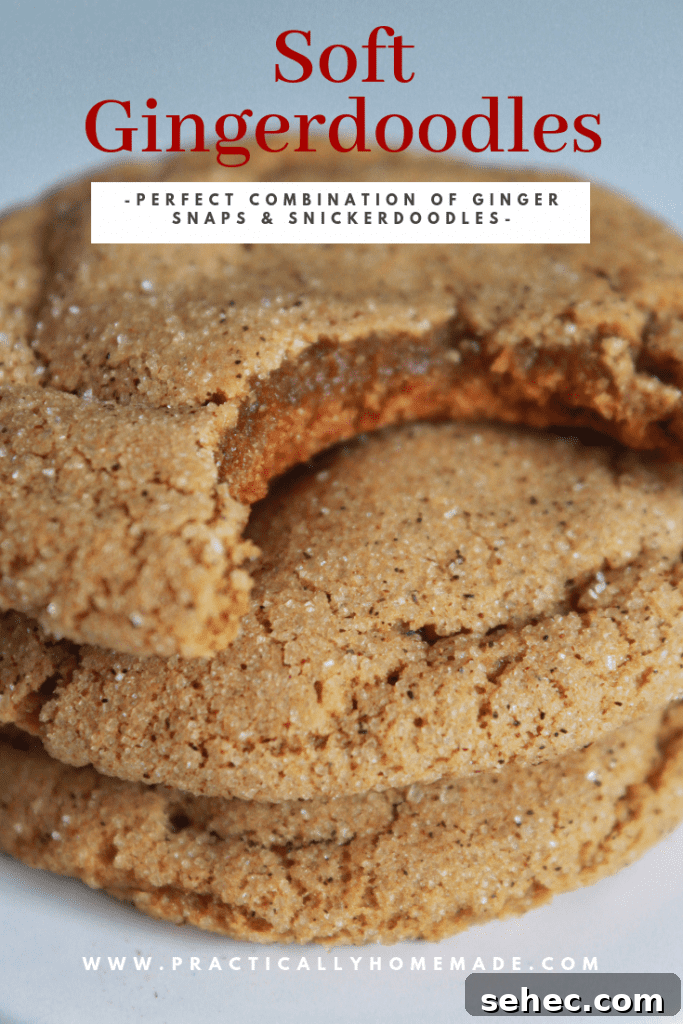 Soft Ginger Snickerdoodle Cookies 2 soft gingerdoodles | gingerdoodles | ginger cookies | snickerdoodles | christmas cookies | rolled cookies | soft cookies