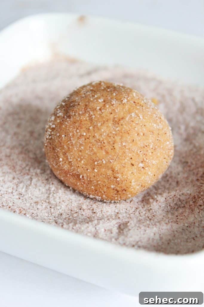 Soft Ginger Snickerdoodle Cookies 3 gingerdoodle cookie dough rolled in cinnamon sugar