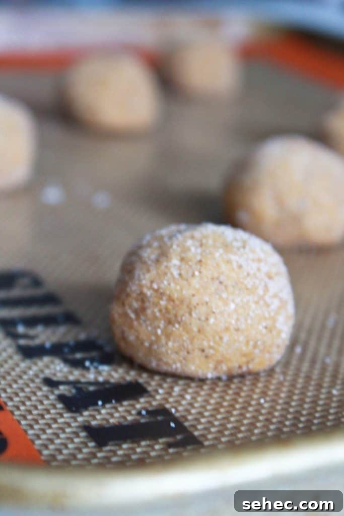 Soft Ginger Snickerdoodle Cookies 4 soft gingerdoodle cookies on baking sheet before baking