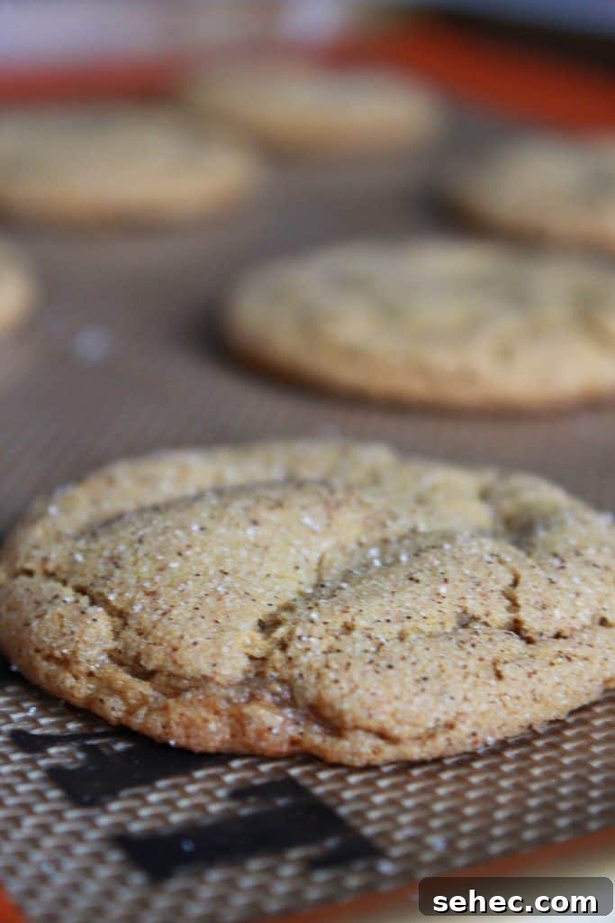 Soft Ginger Snickerdoodle Cookies 5 freshly baked soft gingerdoodle cookies with crackled tops