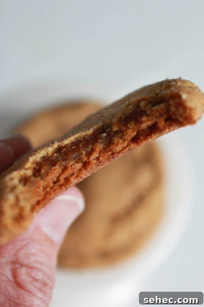 Soft Ginger Snickerdoodle Cookies 6 soft gingerdoodles cooling after baking