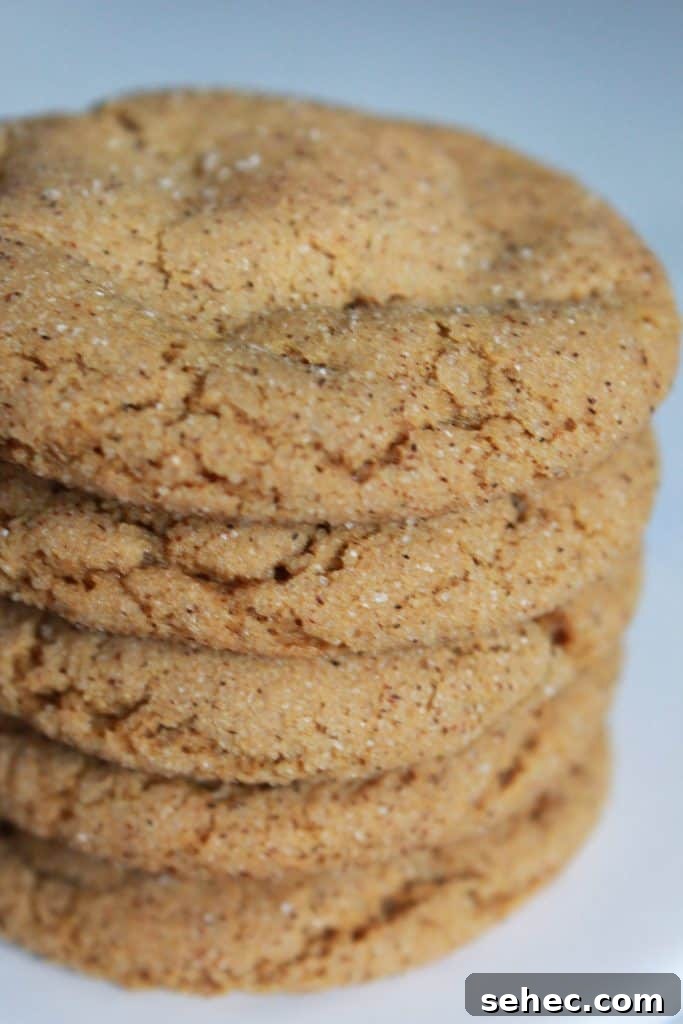 Soft Ginger Snickerdoodle Cookies 7 plate of soft gingerdoodle cookies for Christmas